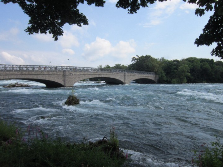 20140807-114238 pm.jpg