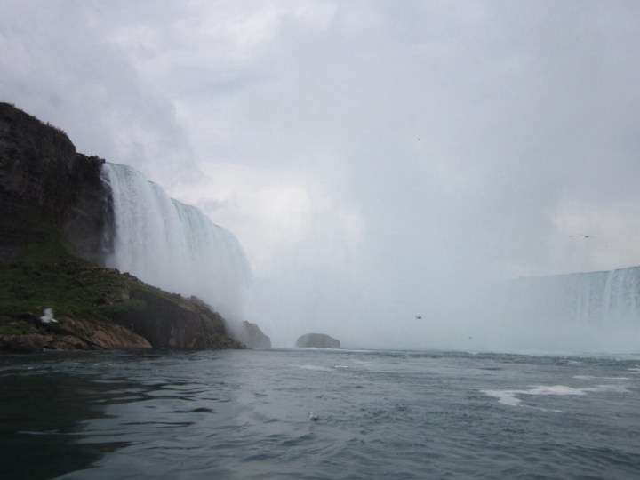 20140808-120121 am.jpg