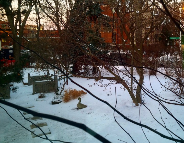 IMG_20150107_163740_edit (2)