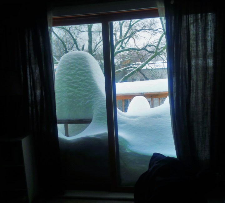 IMG_20150204_122100_edit (2)