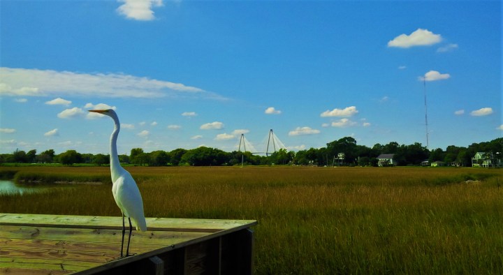 IMG_20151012_143551 (2)