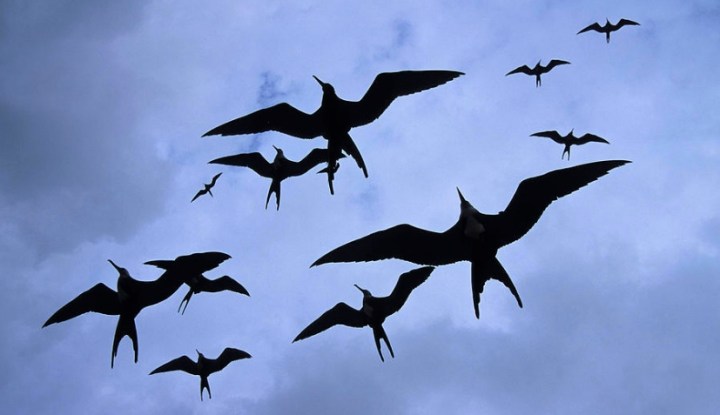 Screen Shot 2016-09-05 at 17.26.14