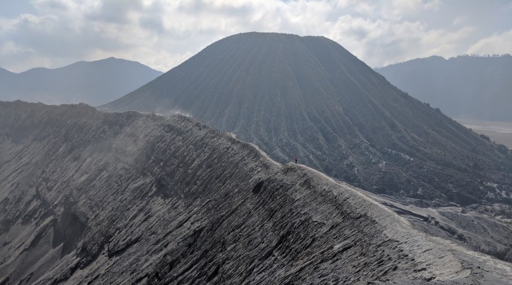 erica on bromo